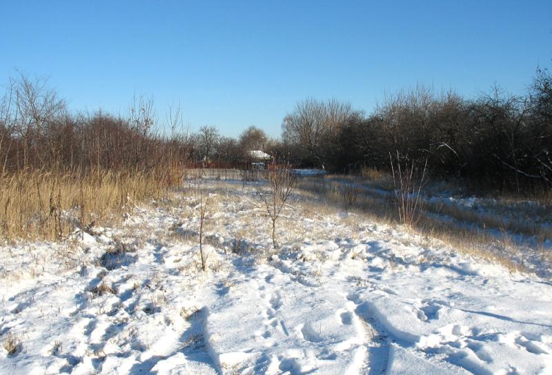 В Рязанской области зафиксировано опасное агрометеорологическое явление